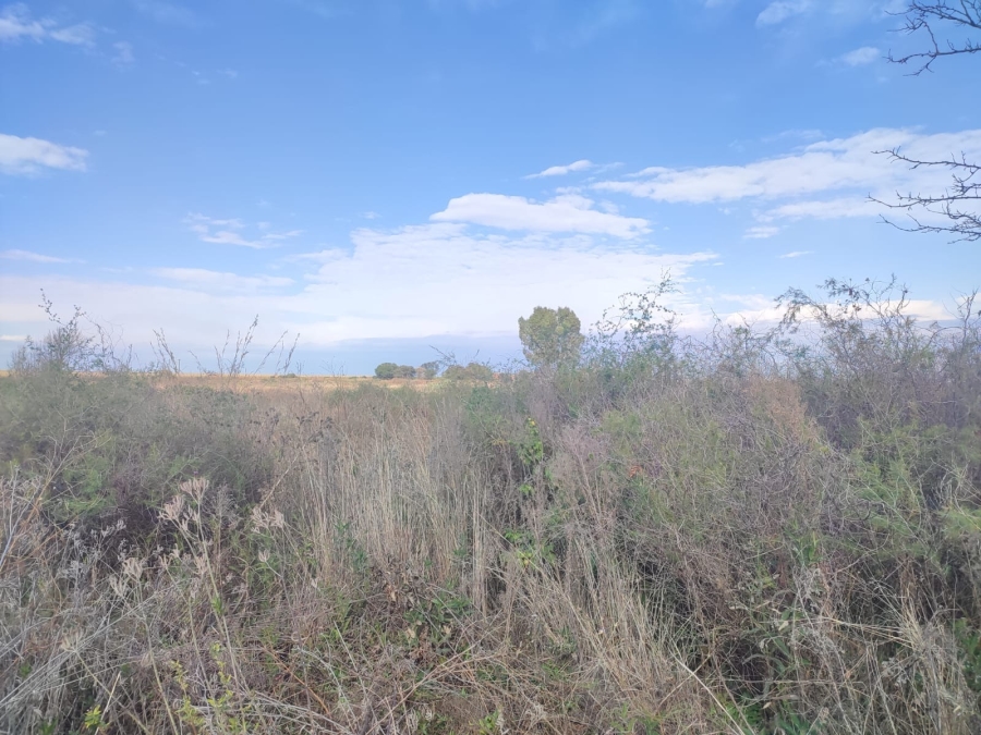 0 Bedroom Property for Sale in Koster North West